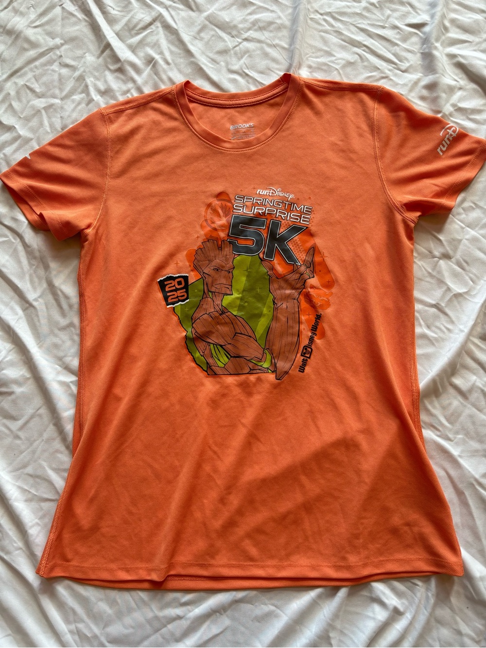 Run Disney Springtime Surprise 2025 5K Race Shirt